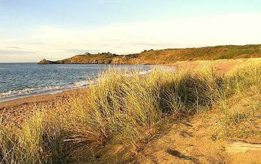 Location de vacances - Villa à Cancale - La plage du Verger accessible à pied et surveillée en été.