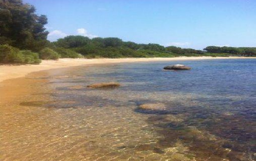 Location de vacances - Maison - Villa à Figari