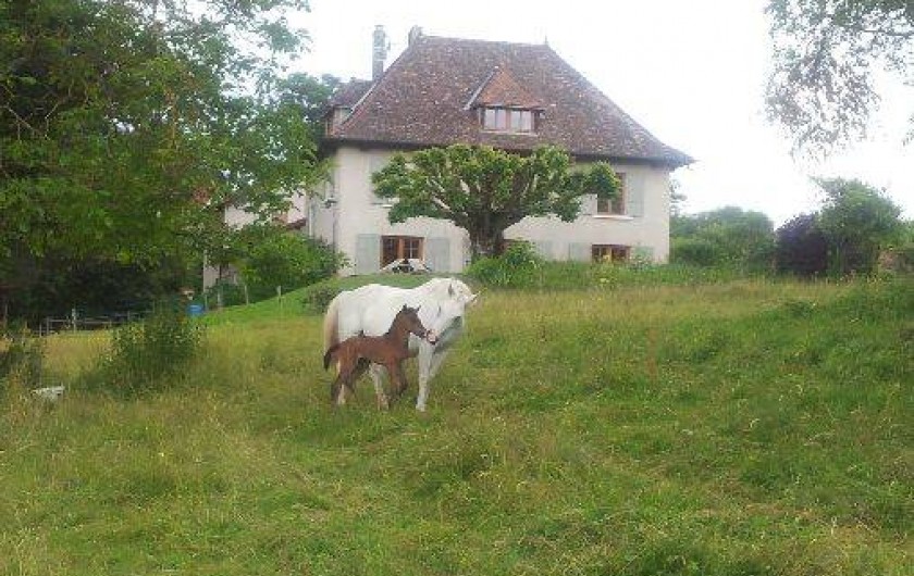 Location de vacances - Chambre d'hôtes à Bilieu
