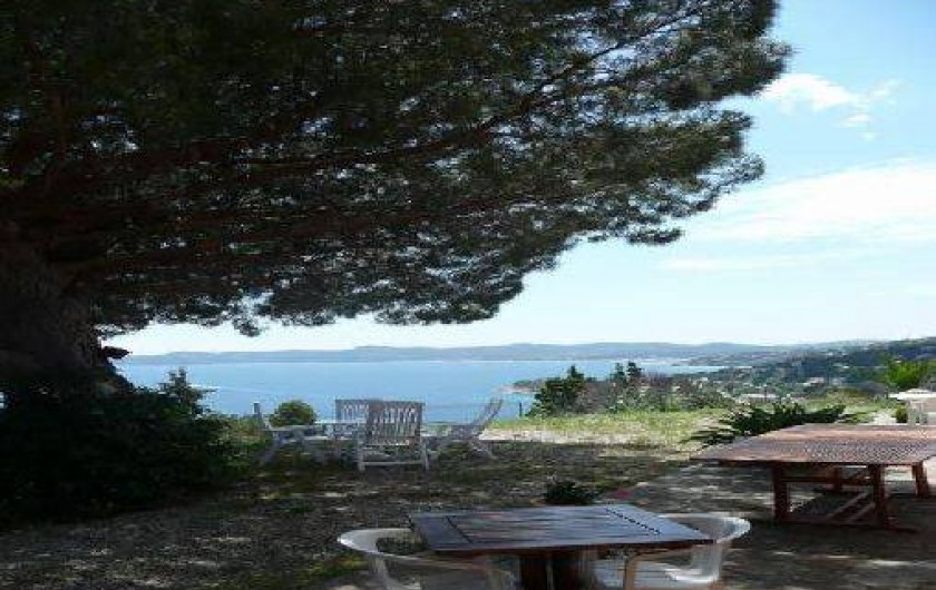 Location de vacances - Villa à Le Lavandou