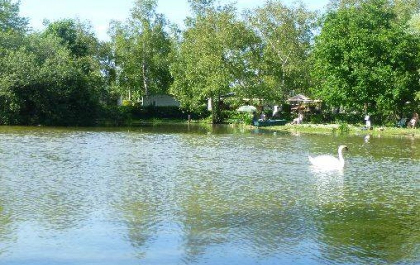 Location de vacances - Camping à Rang-du-Fliers