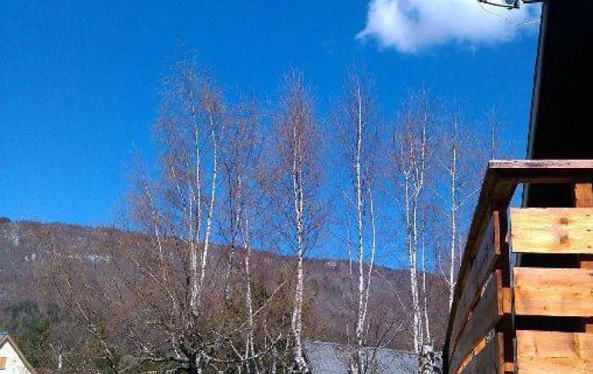 Location de vacances - Chalet à Lans-en-Vercors