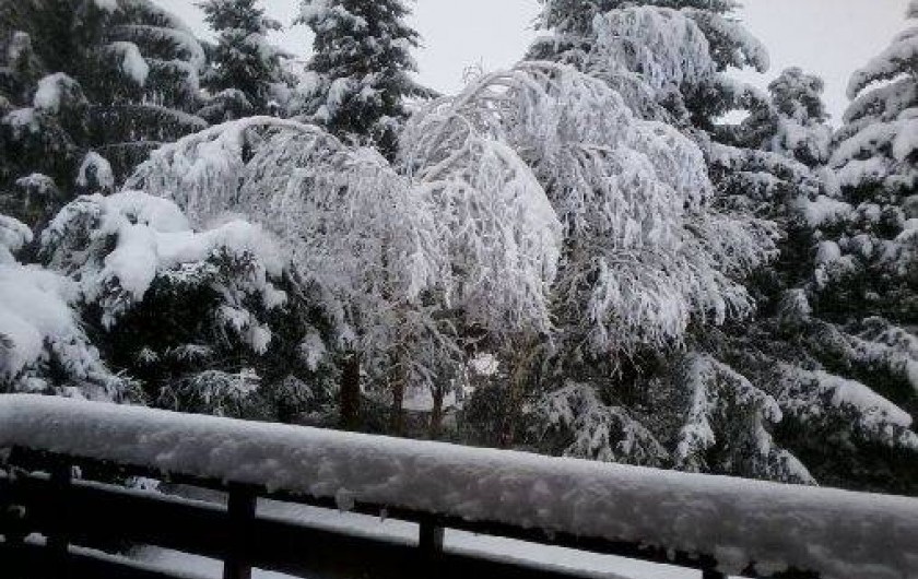 Location de vacances - Chalet à Lans-en-Vercors