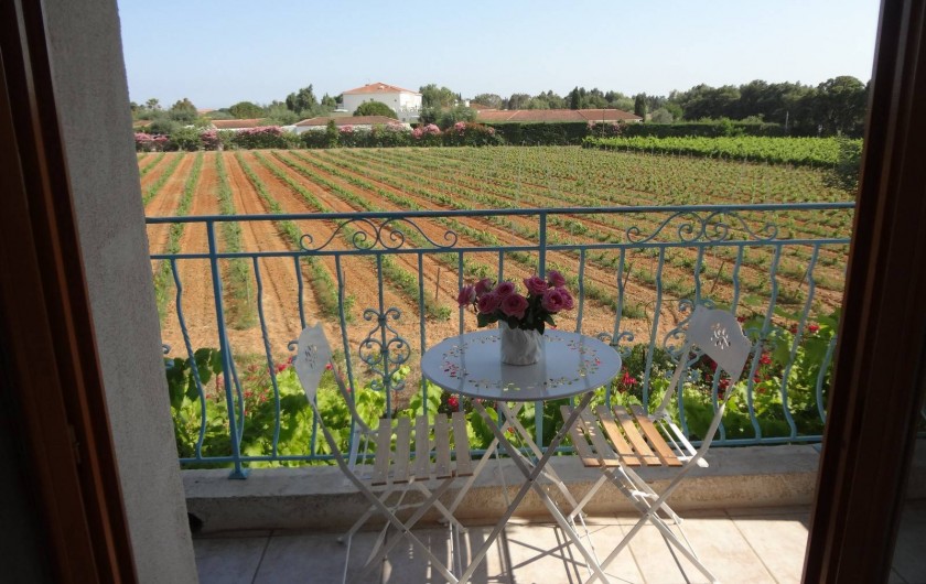 Location de vacances - Appartement à La Londe-les-Maures - balcon vue sud vignes et derrière les arbres , c'est la grande bleue la MER !!!