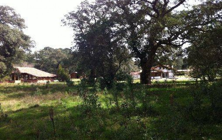 Location de vacances - Villa à Messanges