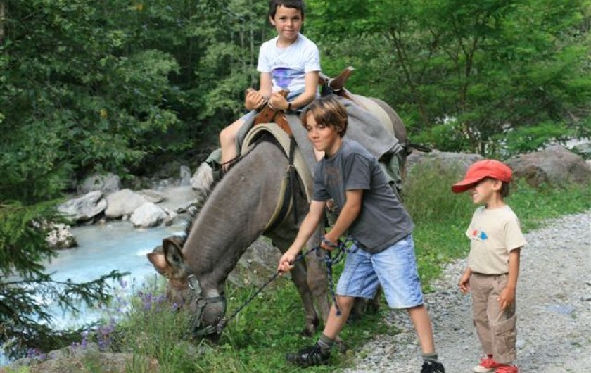 Location de vacances - Gîte à Saint-Christophe-en-Oisans