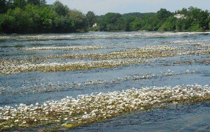 Location de vacances - Camping à Saint-Antoine-de-Breuilh
