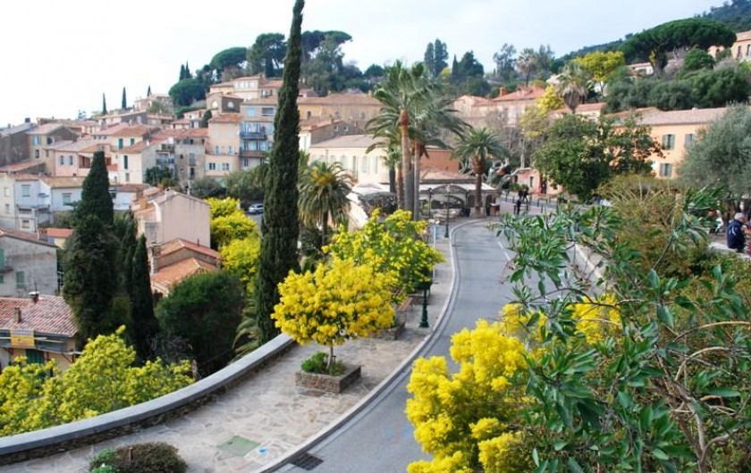 Location de vacances - Appartement à Bormes-les-Mimosas - Village de Bormes les mimosas