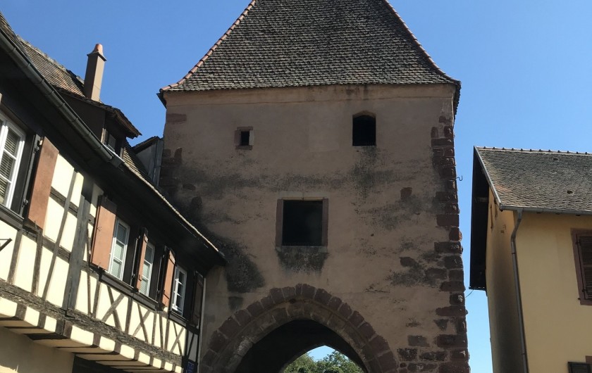 Location de vacances - Gîte à Bœrsch