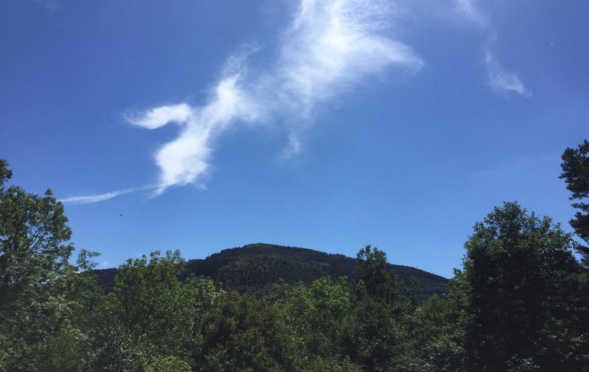 Location de vacances - Gîte à Bœrsch