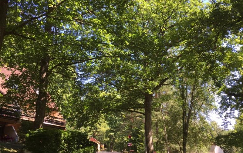 Location de vacances - Gîte à Bœrsch