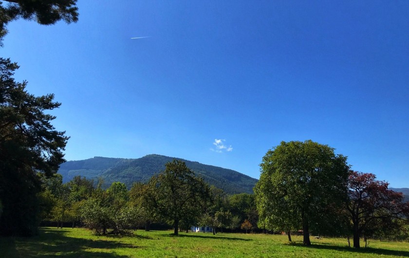 Location de vacances - Gîte à Bœrsch