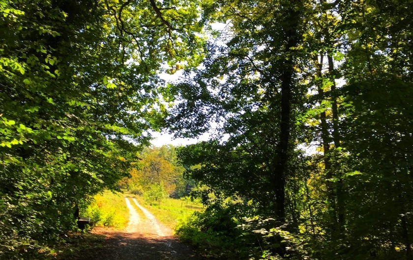 Location de vacances - Gîte à Bœrsch