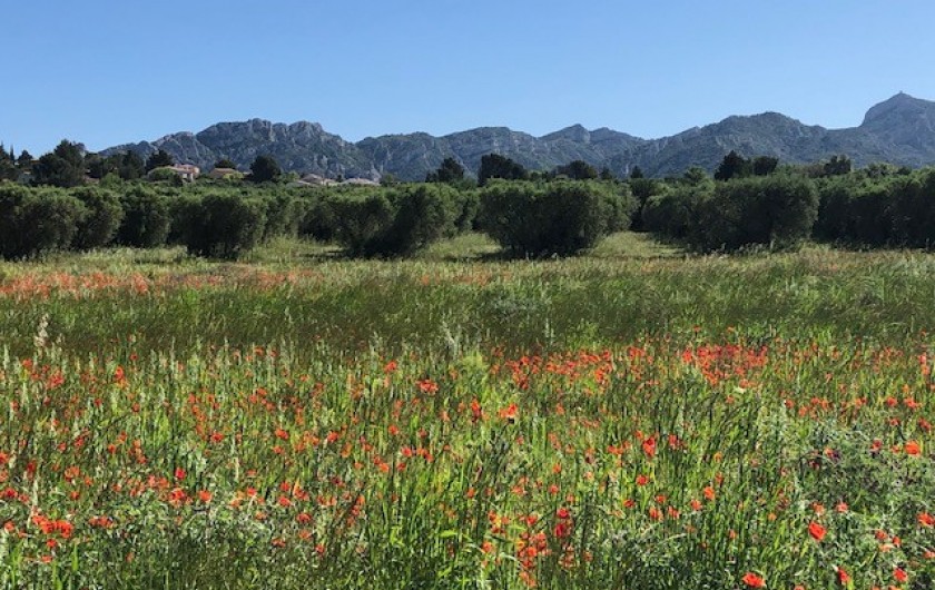 Location de vacances - Villa à Aureille - Alpilles