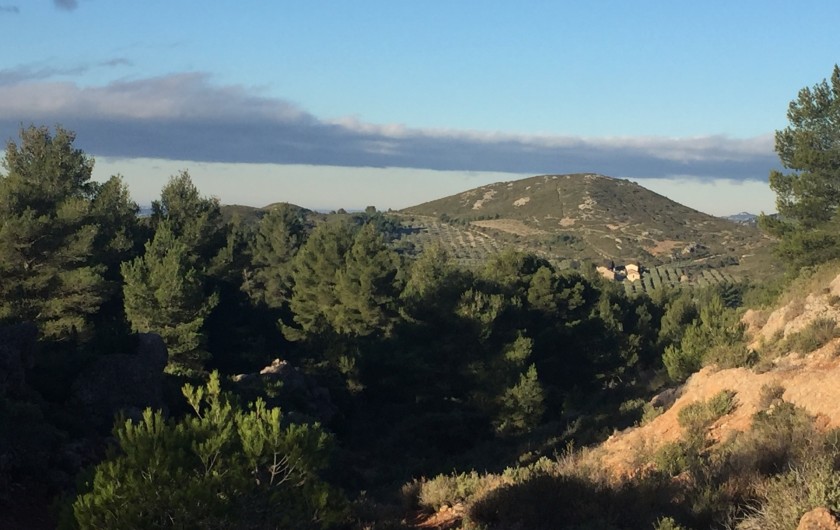 Location de vacances - Villa à Aureille - Alpilles