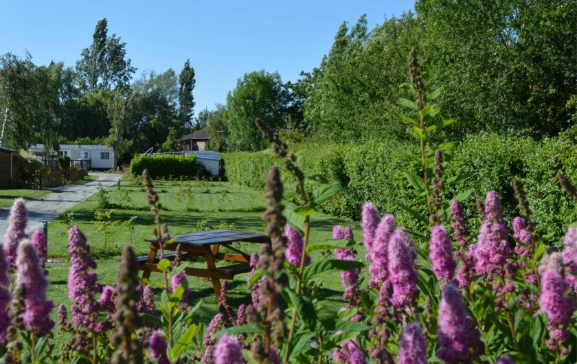 Location de vacances - Bungalow - Mobilhome à Aire-sur-la-Lys - Un cadre verdoyant et reposant