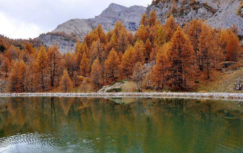 Location de vacances - Chalet à Arvieux