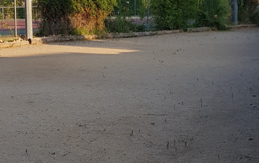 Location de vacances - Villa à Saint-Cyprien Plage - Terrain de boules de la résidence
