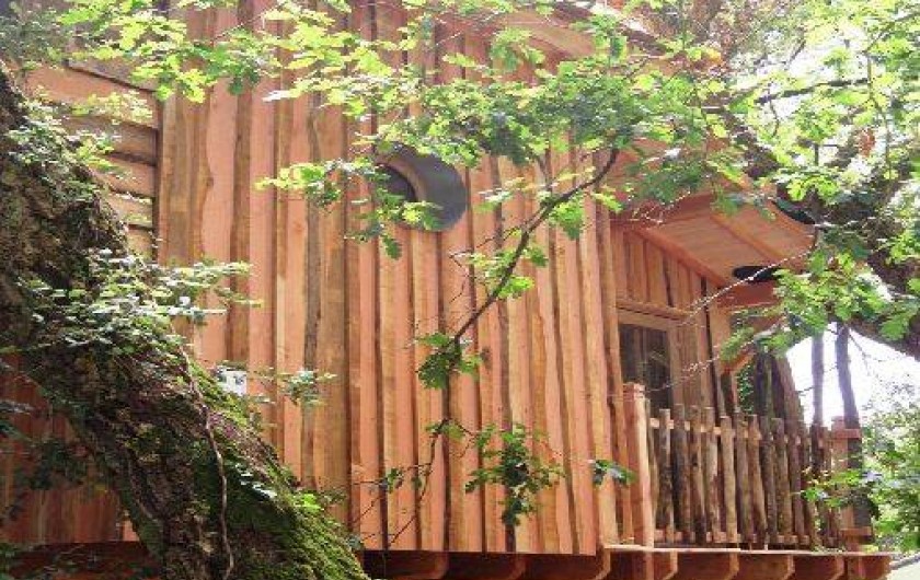 Location de vacances - Cabane dans les arbres à Messanges