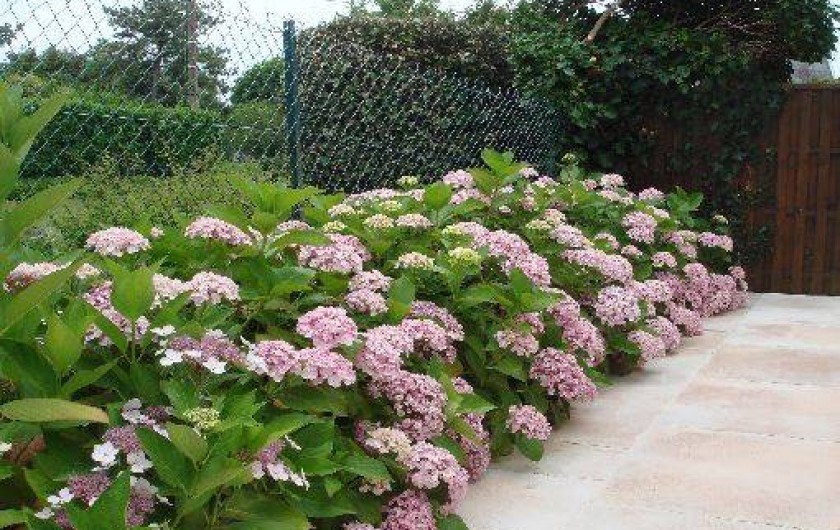 Location de vacances - Villa à Larmor-Plage