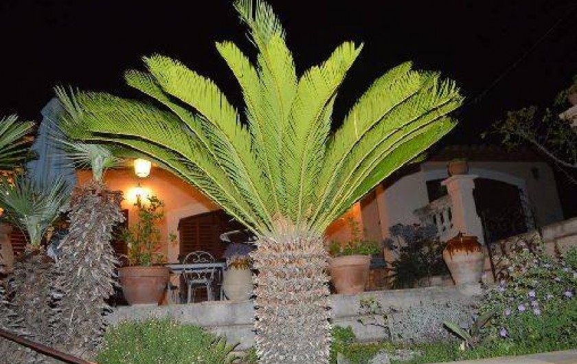 Location de vacances - Studio à Toulon