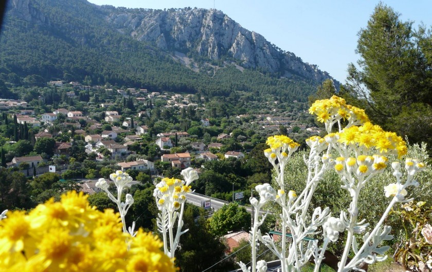 Location de vacances - Studio à Toulon