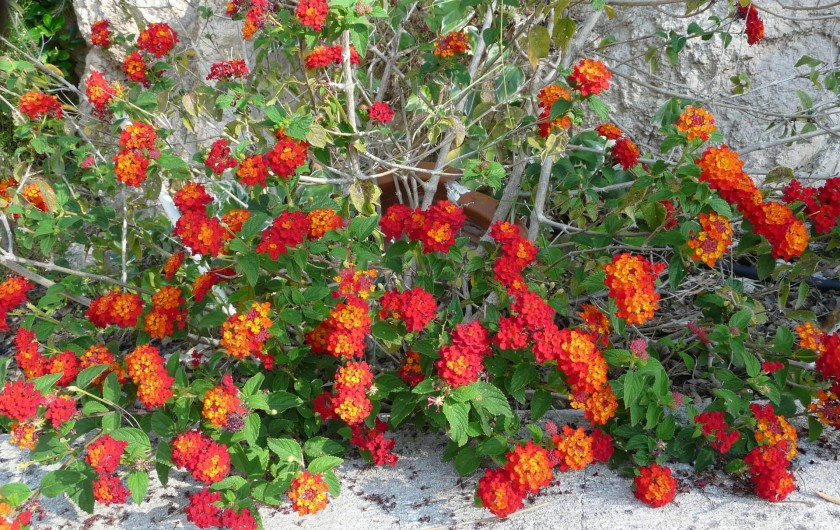 Location de vacances - Studio à Toulon