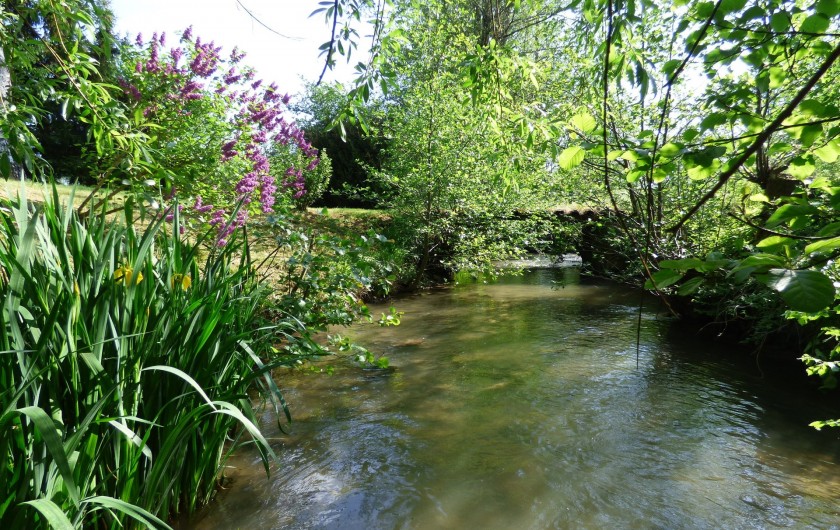 Location de vacances - Gîte à Nouart - ruisseau derrière le gîte