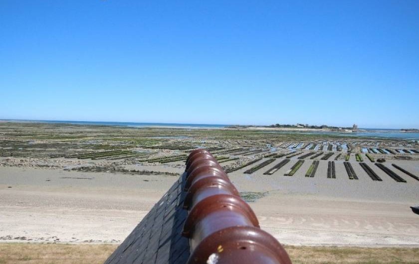 Location de vacances - Appartement à Saint-Vaast-la-Hougue