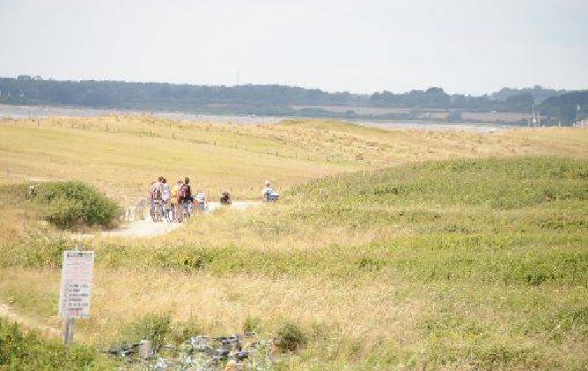 Location de vacances - Villa à Sarzeau