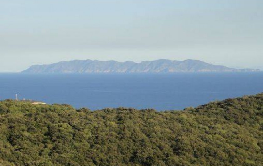 Location de vacances - Appartement à Rogliano