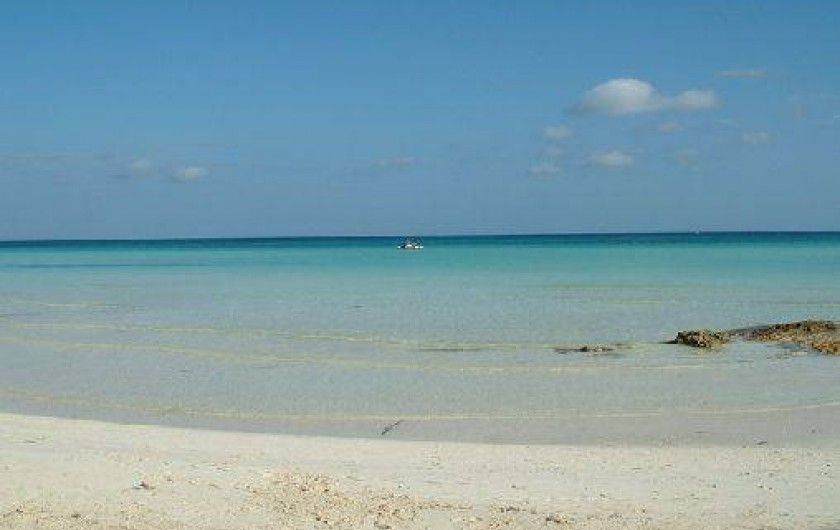 Location de vacances - Appartement à Rogliano