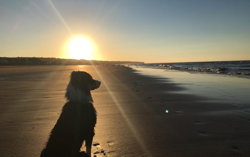 Location de vacances - Gîte à Saint-Laurent-sur-Mer