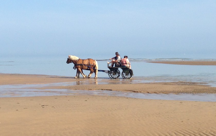 Location de vacances - Gîte à Saint-Laurent-sur-Mer