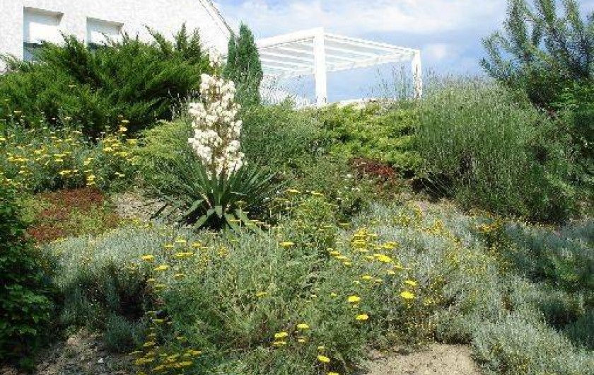 Location de vacances - Gîte à Mayrinhac-Lentour