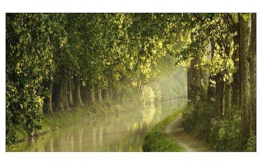 Location de vacances - Maison - Villa à Carcassonne