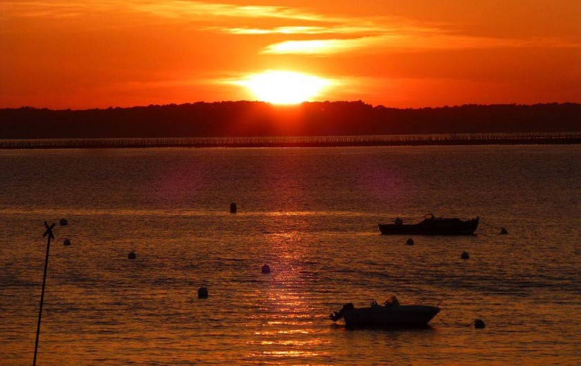Location de vacances - Studio à Arcachon