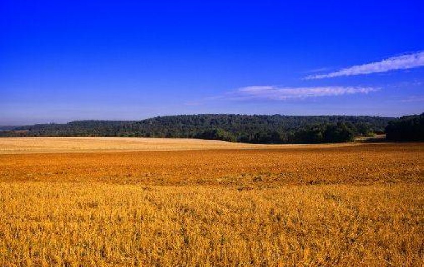 Location de vacances - Gîte à Saint-Aubin-de-Scellon