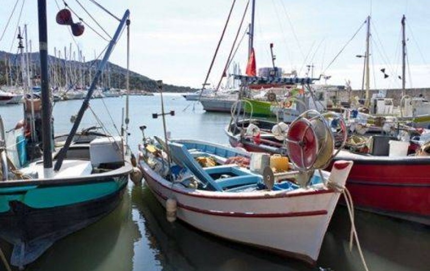 Location de vacances - Appartement à Carqueiranne - port Carqueiranne