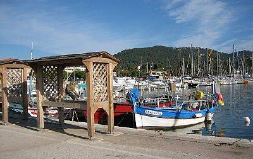 Location de vacances - Appartement à Carqueiranne - le port : "cabane " de vente des pêcheurs