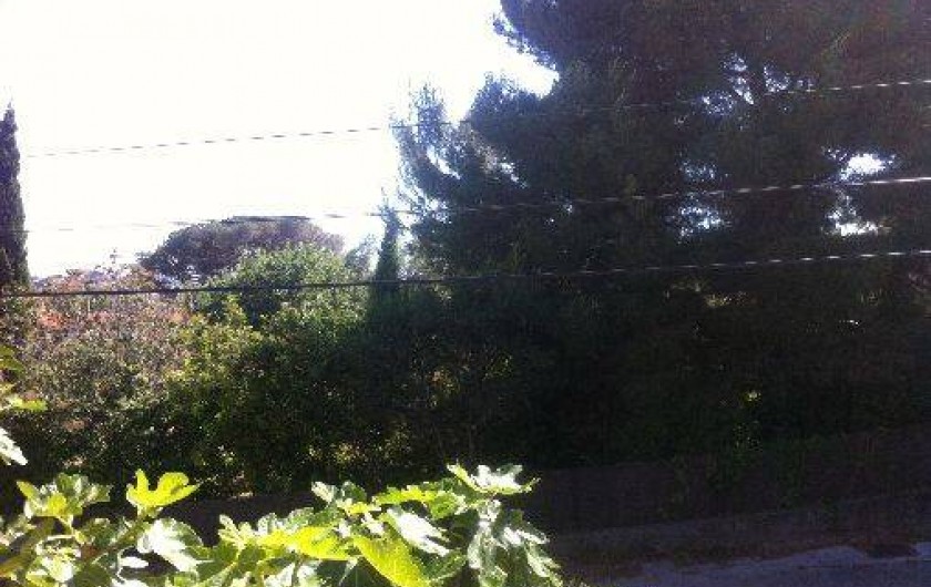 Location de vacances - Maison - Villa à La Garde