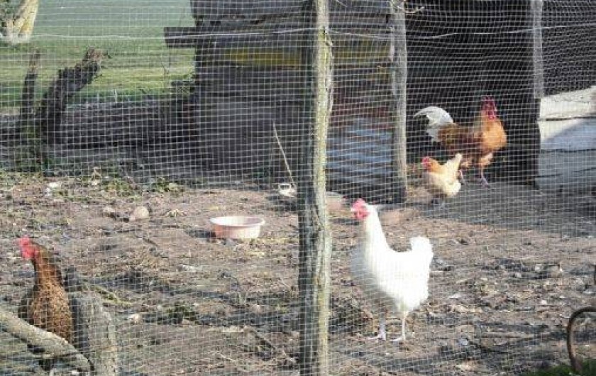 Location de vacances - Maison - Villa à Villentrois