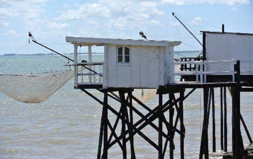 Location de vacances - Appartement à Soulac-sur-Mer