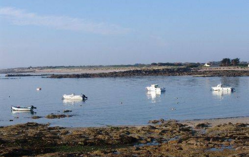 Location de vacances - Villa à Montfarville