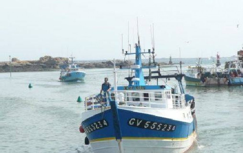 Location de vacances - Maison - Villa à Penmarch