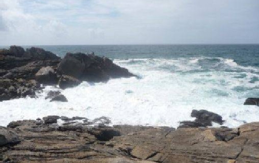 Location de vacances - Maison - Villa à Penmarch