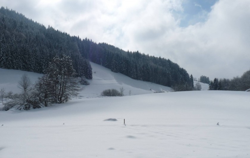 Location de vacances - Gîte à Habère-Poche - Vue du gîte