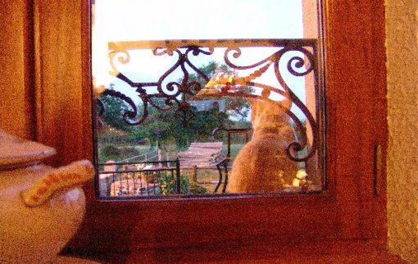 Location de vacances - Gîte à Teilhet