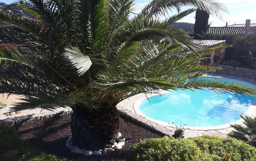 Location de vacances - Villa à Les Issambres