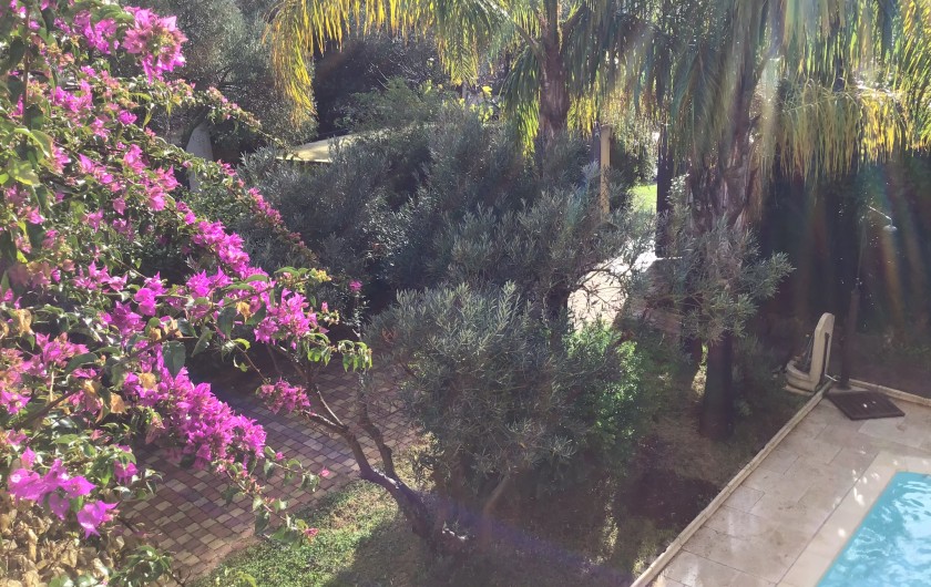 Location de vacances - Maison - Villa à Sanary-sur-Mer - Jardin